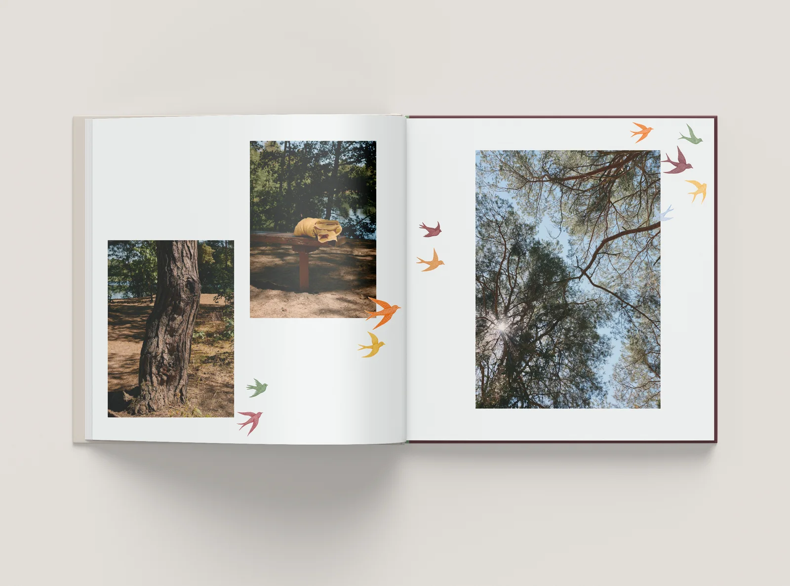 Inside spread